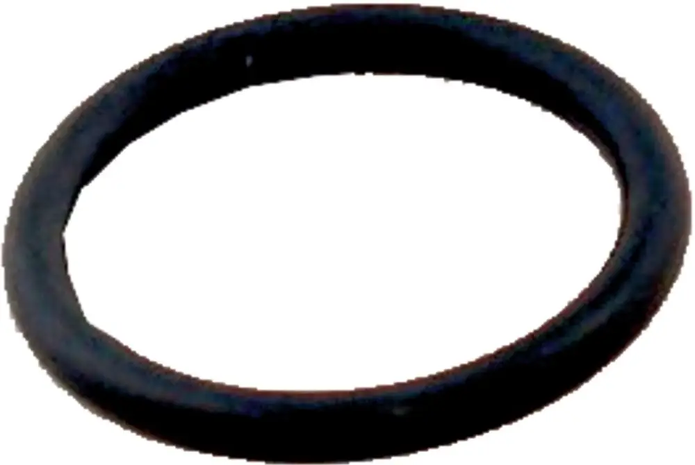 Schwarzer O-Ring auf weißem Hintergrund, möglicherweise für einen Strömungsschalter. Produkt gehört zur Marke Wolf.